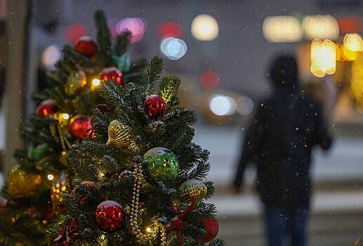 Россиянам подсказали способы пережить резкое похолодание в Новый год