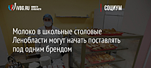 Молоко в школьные столовые Ленобласти могут начать поставлять под одним брендом