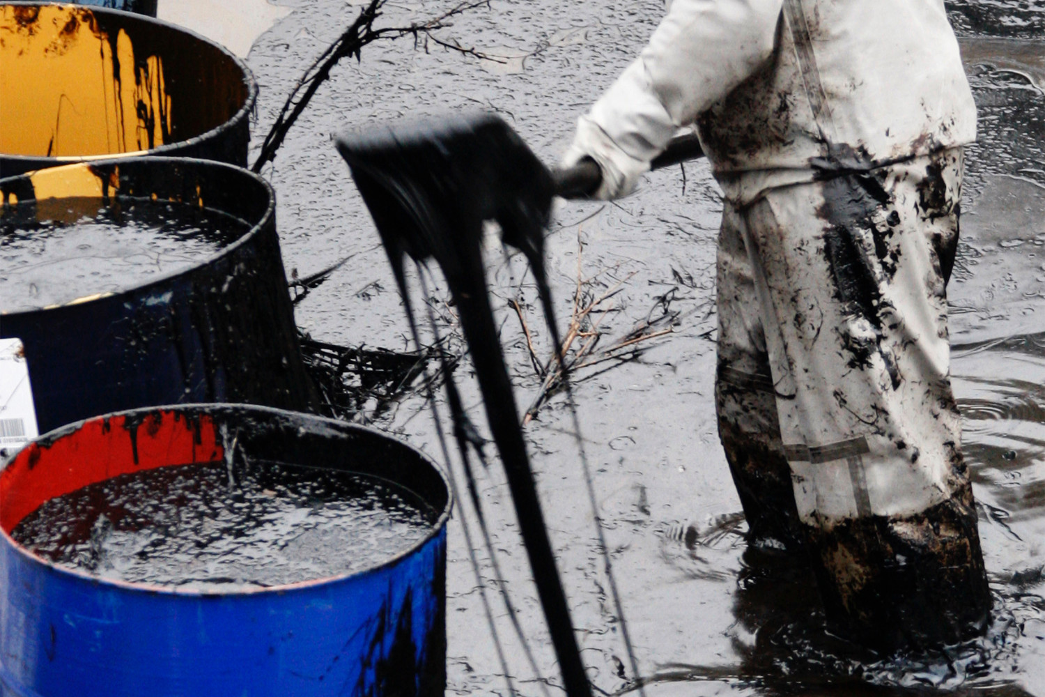 Ученые из МГУ предложили метод очистки дна моря от мазута естественным путем