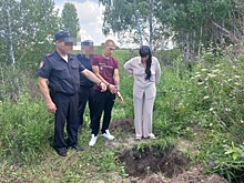 «Увез тело в лес, расчленил и закопал. С собой взял люльку со спящим сыном»: жителя Тары, который убил жену, ...