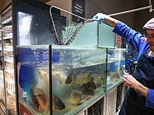 Врачи назвали незаменимые для здоровья продукты