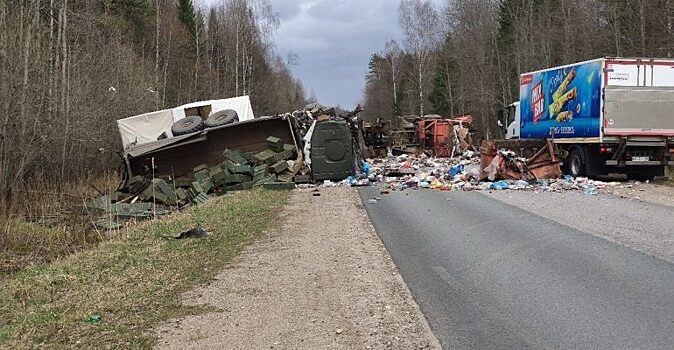 Под Новгородом водитель военного грузовика погиб в ДТП с мусоровозом