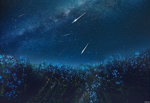 Калужане смогут увидеть метеорный звездопад