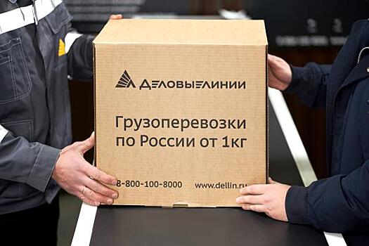 «Деловые Линии» отправляют грузы весом до 15 кг от 349 руб. в Северо-Кавказском и Южном округах