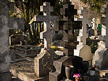 Мошенник из Саранска пойман в Подмосковье после бегства от правосудия