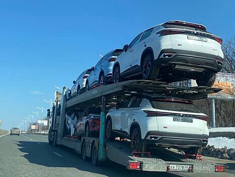 Назван самый популярный автомобиль, ввезенный по параллельному импорту