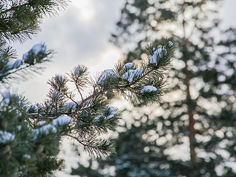 Непогода задержится на Урале до конца февраля