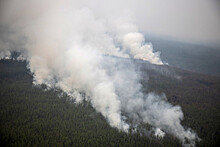 В регионах РФ специалисты ликвидируют лесные пожары на площади 817 949 га