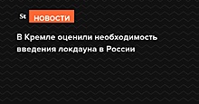 В Кремле оценили необходимость введения локдауна в России