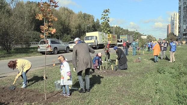 «Деревьев не бывает много». Более 3 тысяч саженцев высадили в Электростали в рамках акции «Наш лес»