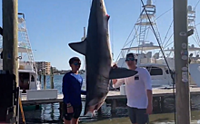 Подросток поймал акулу больше него самого и решил ее съесть