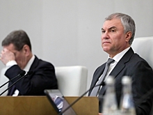 Вячеслав Володин анонсировал вступление в силу законов в августе