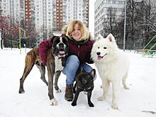 В столице набирает популярность новая услуга для собак