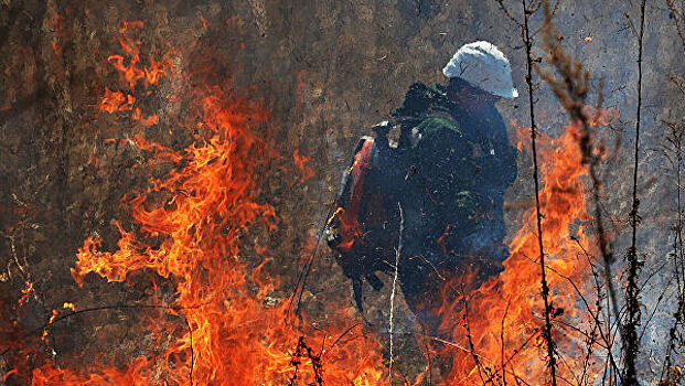 Дым от лесных пожаров накрыл российский город
