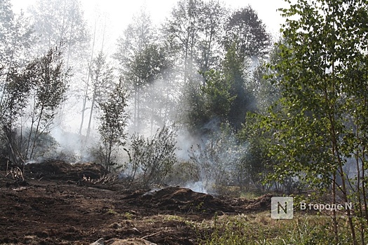 Посещать леса запретили в 14 округах Нижегородской области