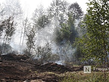 Нижегородцев предупредили о высокой пожароопасности лесов