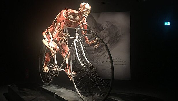 В Женеве открылась выставка фон Хагенса