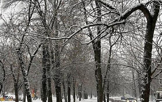 Мэр Курска потребовал срочно привести в порядок тротуар на улице Кавказской