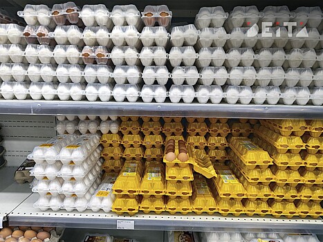 На яйце не заработаешь: в России массово уничтожают несушек