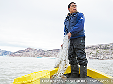 NY Post рассказала об издевательствах Дании над коренными жителями Гренландии