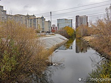 В Екатеринбурге возобновились слушания по иску Росприроднадзора к компании Дацюка