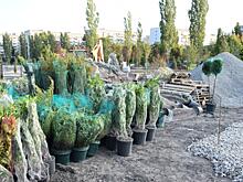 Реконструкция сквера Марины Расковой подходит к концу