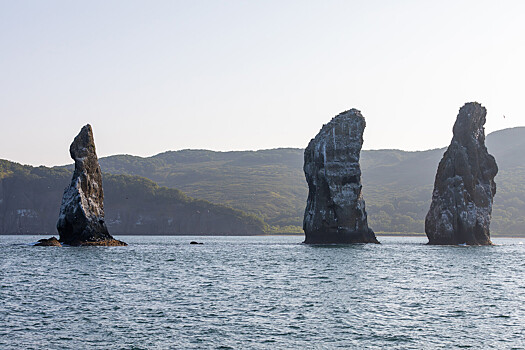 1b307d5fdb2c7247d961ce9bf8582a55?img-format=auto&img-1-resize=height:350,fit:max&img-2-filter=sharpen