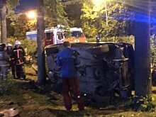 Перелетел через живую изгородь: в Екатеринбурге произошло странное ДТП