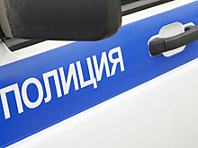 Задержан курьер телефонных мошенников, похитивших 32 млн рублей у москвички