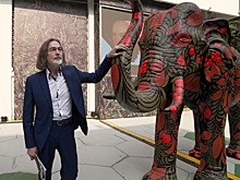 Выставка Никаса Сафронова в Индии привлекла рекордное число посетителей