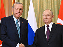 Надежды на зерновую сделку: первые заявления Путина и Эрдогана