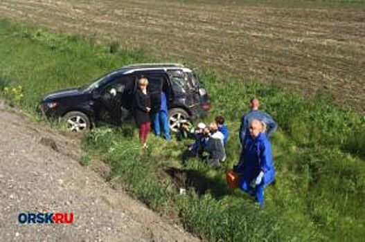 На трассе Оренбург — Орск из-за суслика произошло ДТП