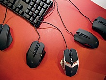 Почти половина россиян поддержали цензуру в интернете