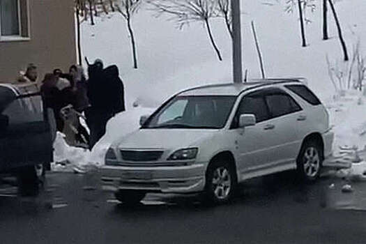 В Долинске отловщики собак в масках избили мать с ребенком и попали на видео