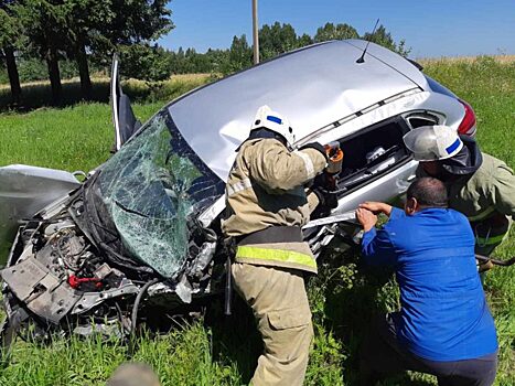 Мужчина погиб в лобовом ДТП, ребенок попал в больницу