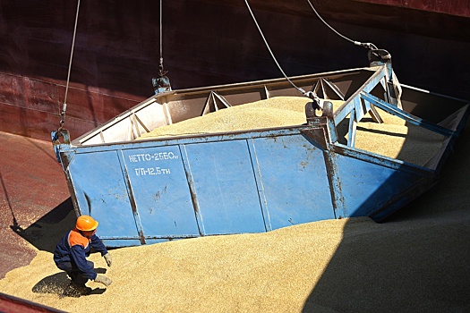 Уборочная кампания обеспечит страну зерном