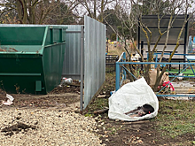 Кто свинью подложил?