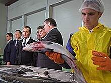 Дмитрий Медведев продолжил серию предвыборных визитов