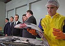 Дмитрий Медведев продолжил серию предвыборных визитов