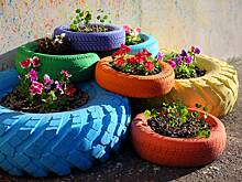 Россиянам рассказали о запрете делать клумбы из покрышек