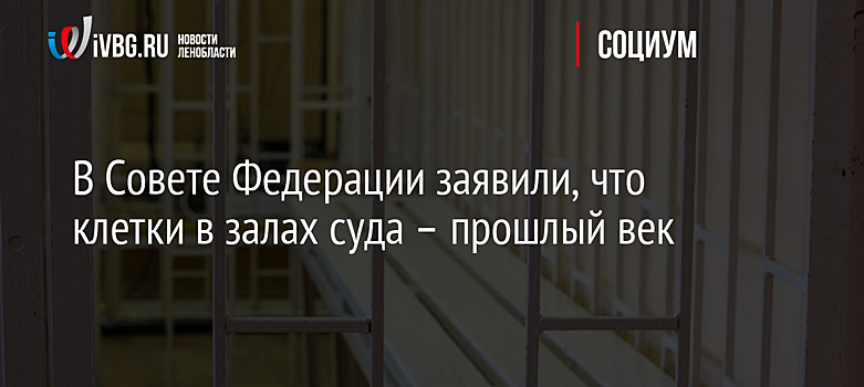 В Совете Федерации заявили, что клетки в залах суда – прошлый век