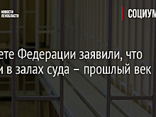 В Совете Федерации заявили, что клетки в залах суда – прошлый век