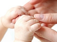 Около 600 жительниц Вологодчины смогут пройти процедуру ЭКО в этом году