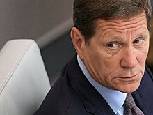 Зампред Думы заявил о готовности фракции ЕР инициировать диалог с Радой