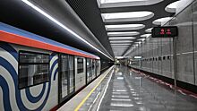 В Москве приостановили движение поездов на участке серой линии метро