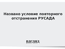 Газзаев высказался о решении WADA в отношении Российского антидопингового агентства
