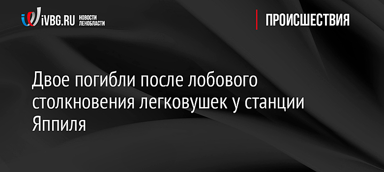 Двое погибли после лобового столкновения легковушек у станции Яппиля