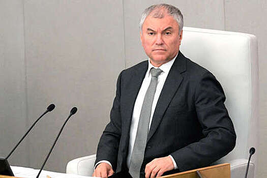 Депутат Володин раскритиковал возможность размещать рекламу у иноагентов