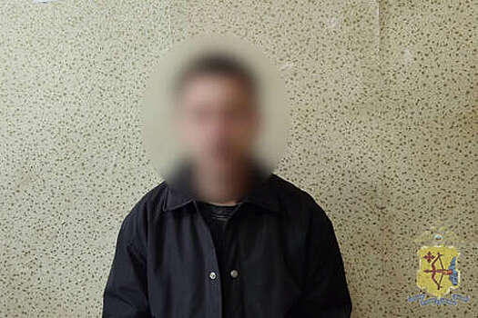 В Кирове бизнесмен лишился 15 млн рублей, поверив аферистам