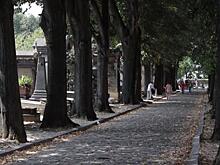 Легенды Парижа: кладбище Пер-Лашез